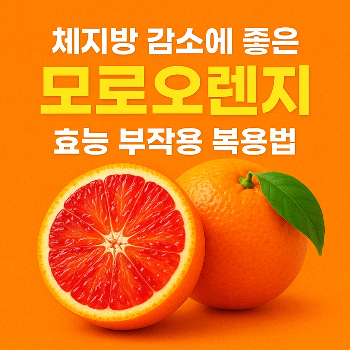 모로오렌지효능부작용복용법