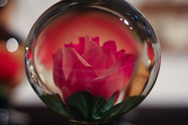 디지털 환경에서 감정 디자이너가 중요한 이유