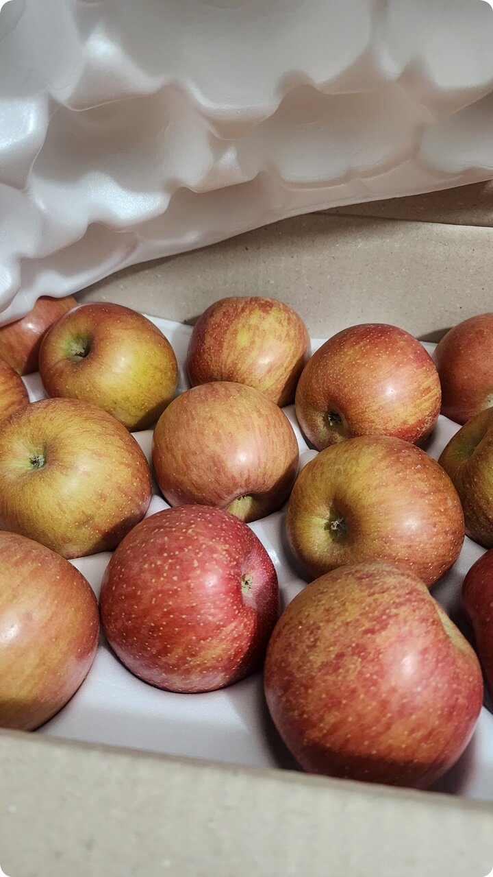 여러개의 사과가 있는 박스