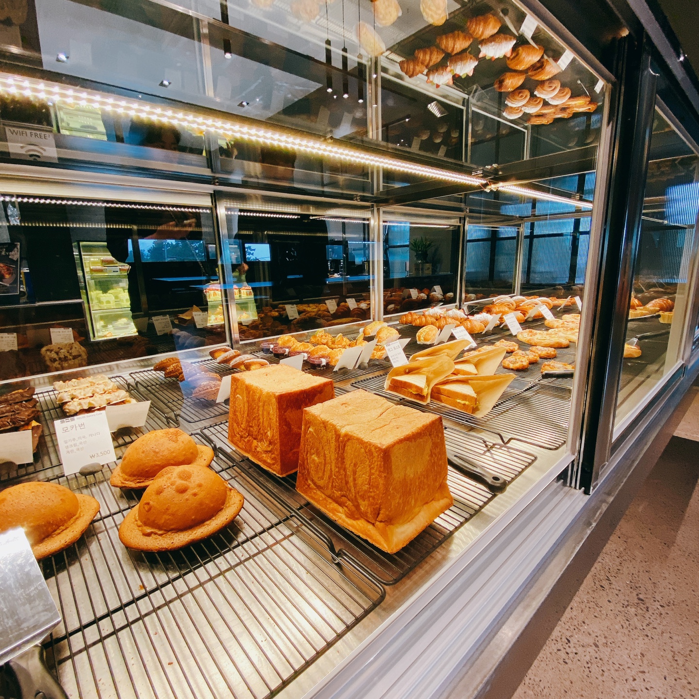 제주 신비마을 도깨비도로 벚꽃명소 레크레 카페