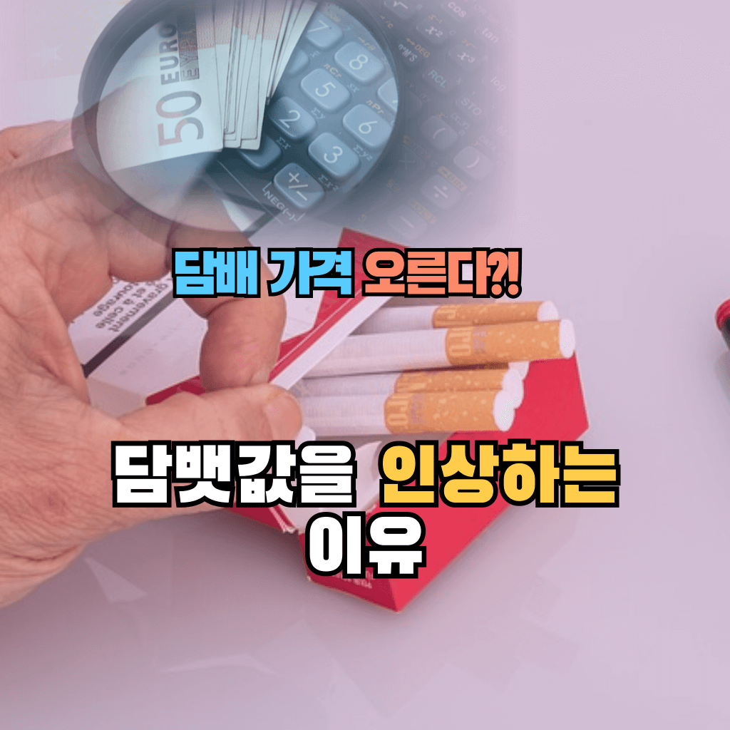 담배 가격이 오른다?!: 담뱃값을 인상하는 이유