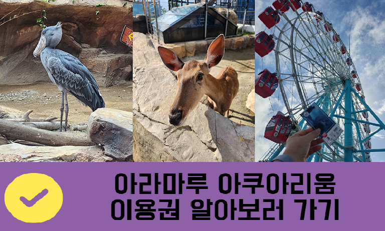 아라마루 아쿠아리움