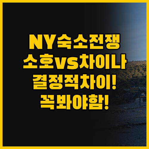 당신의 뉴욕 여행을 바꿀 숙소 전쟁 ..