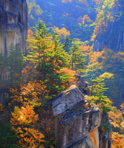 2025 두타산 가을 단풍 절정 시기 &amp; 인기 등산 코스 총정리