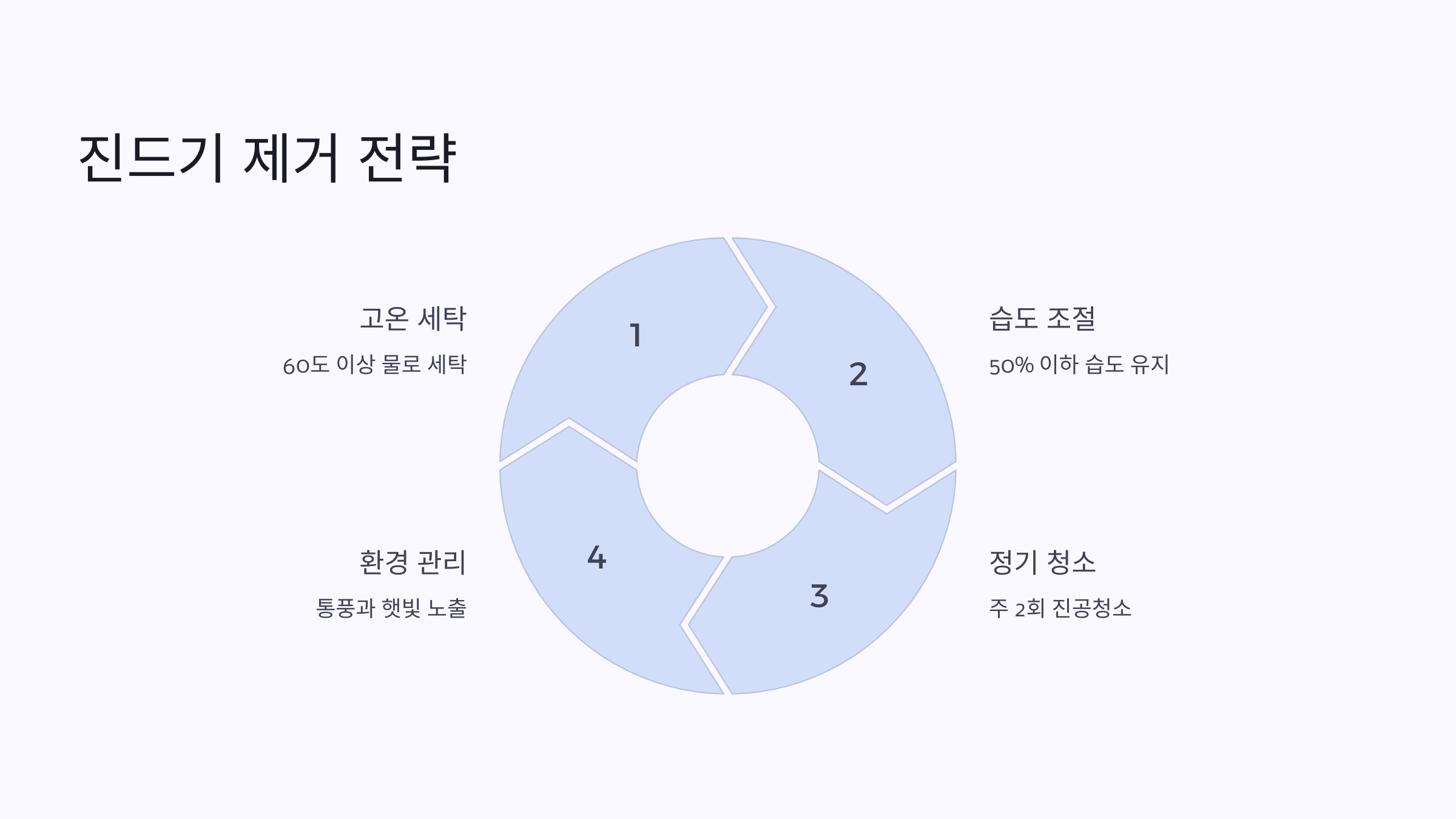카펫 진드기 제거 전략