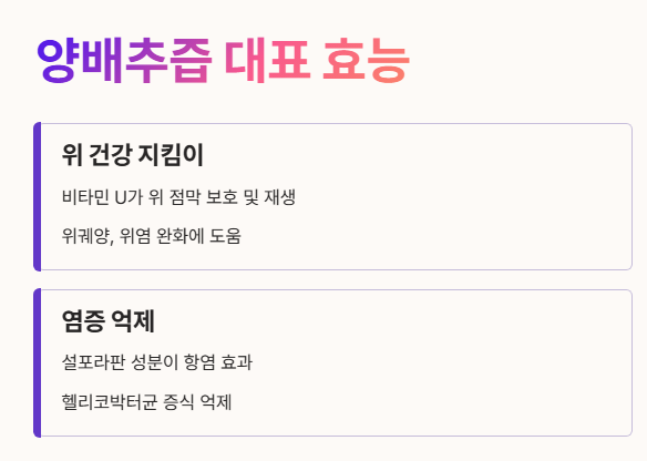 양배추즙 효능 : 위 건강&amp;#44; 염증 억제