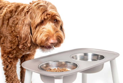 다리가 달린 개 사료 그릇.