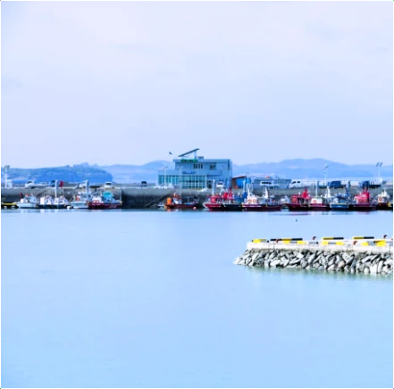 홍성-남항당-새조개-축제