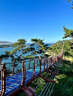 울산광역시 동구 일산동 대왕암공원 출렁다리