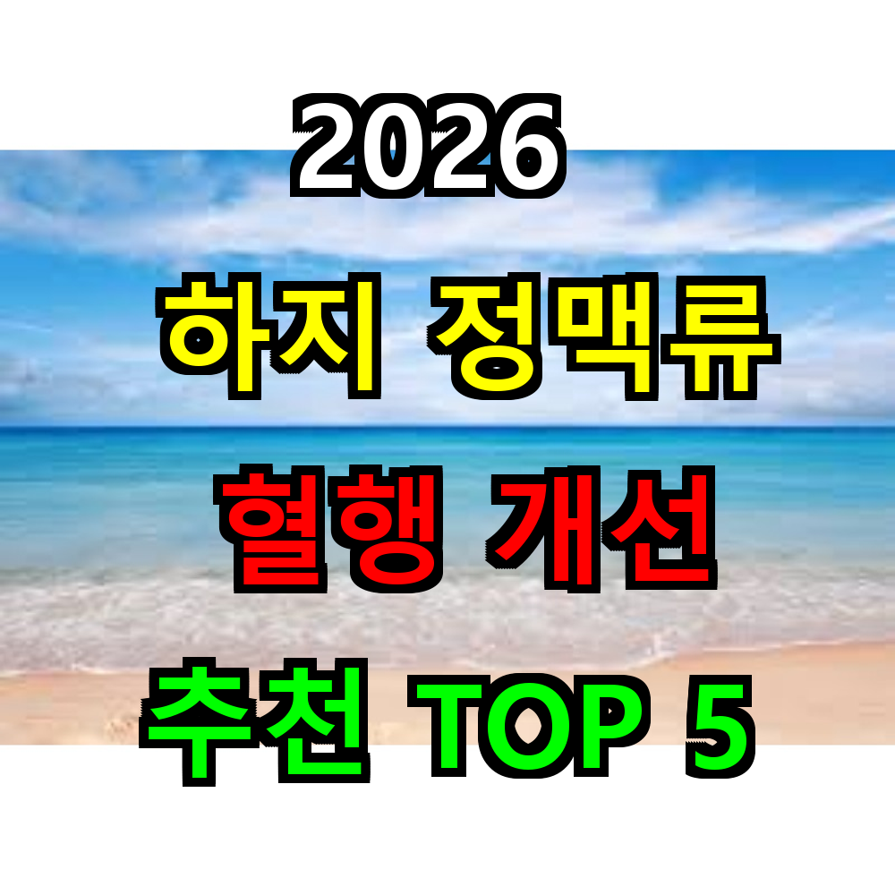 2026 하지정맥류 혈행개선 영양제 추천 TOP 5