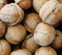 연골연화증 운동