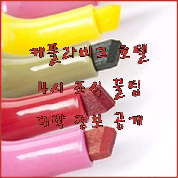 케플라비크 공항 근처 호텔? 4시부터