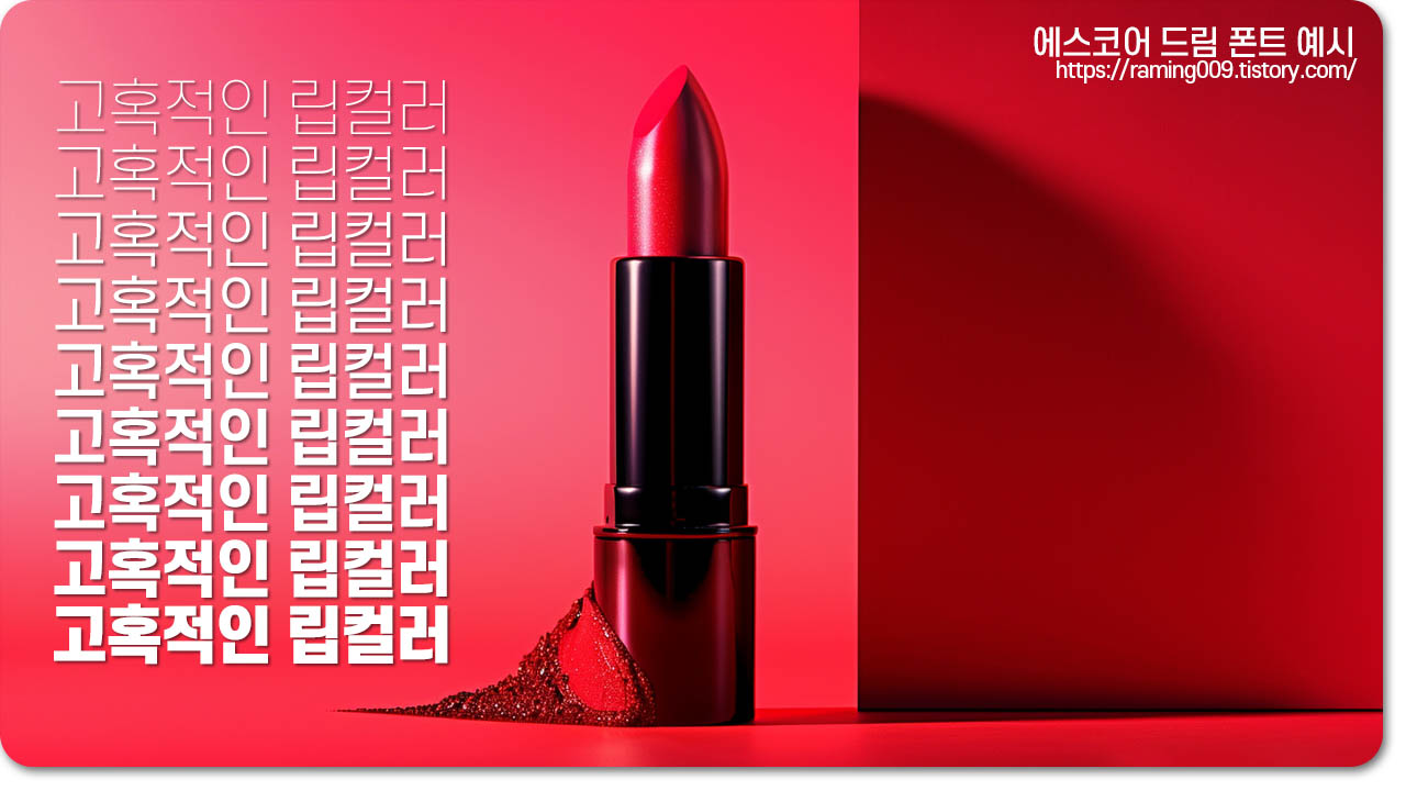 에스코어 드림체 사용 예시