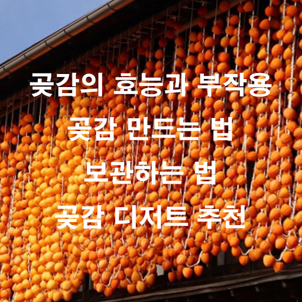 곶감의 효능과 부작용 곶감 만드는 법 보관하는 법 곶감 디저트