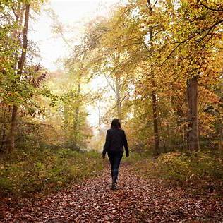 의사들이 말하는 걷기의 건강 효과와 하루 최소 적정 시간