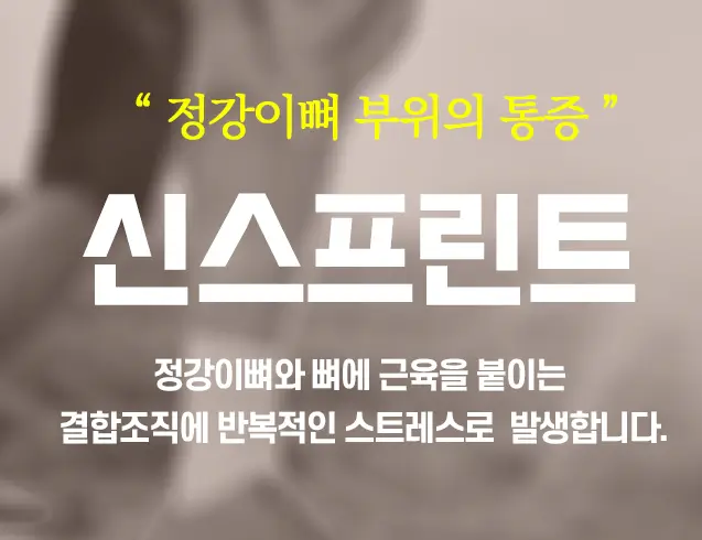 신스프린트