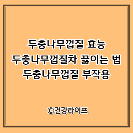 두충나무껍질 효능 13가지, 두충나무껍질차 끓이는 법, 두충나무껍질 부작용