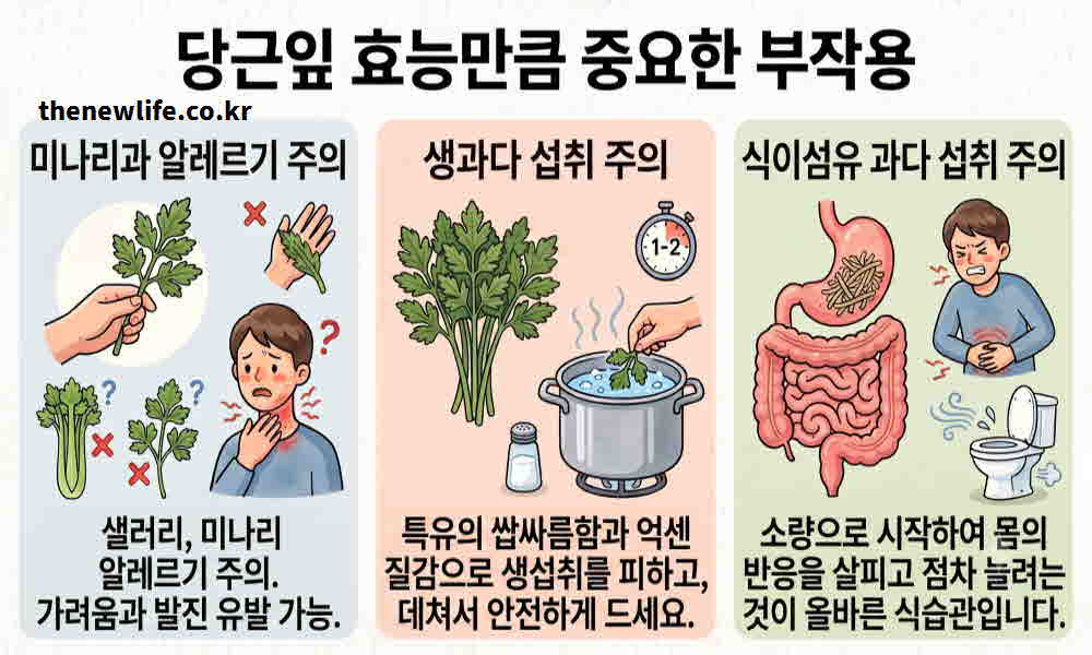 당근잎 효능 부작용