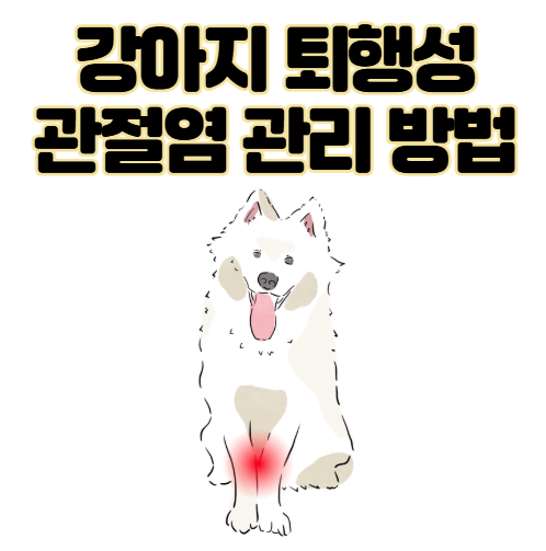 강아지 퇴행성 관절염 증상 및 관리 방법은 이렇게