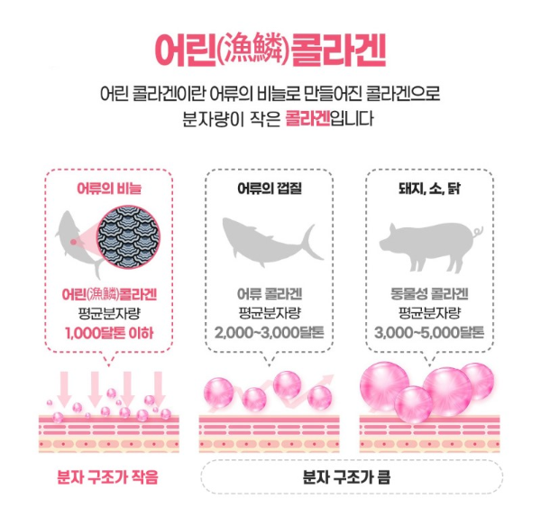 종근당 저분자콜라겐 설명