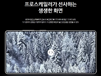 프로스케일러 (ProScaler)