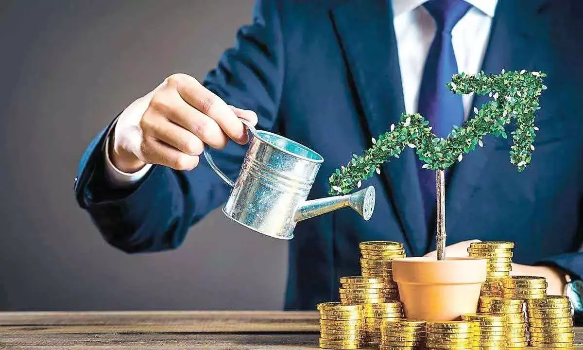 중년 재무설계, 투자, 포트폴리오, 돈, 자산, 늘어나는 부, 금 이미지