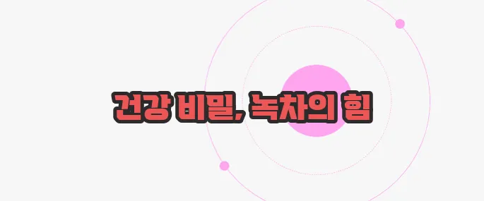 녹차 효능 한 번 정리해볼까요