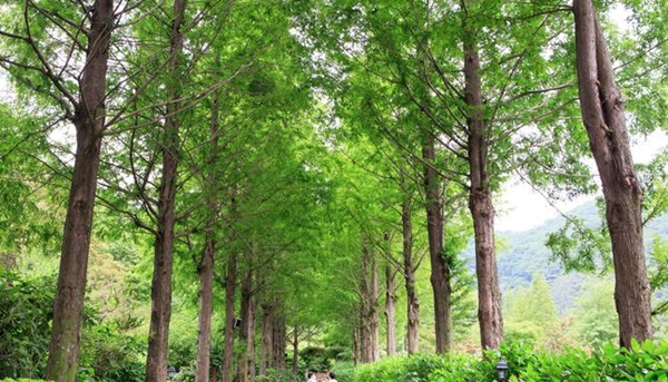 고성 가볼만한곳