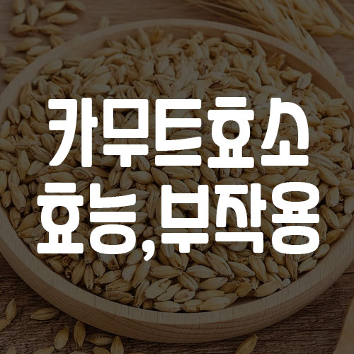 카무트효소 효능 부작용