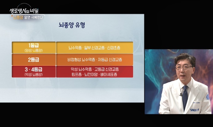 뇌종양유형