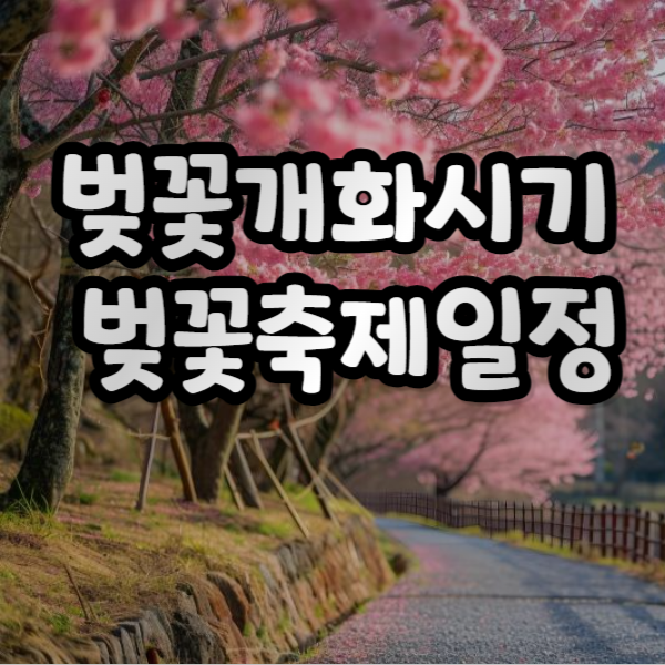벚꽃축제