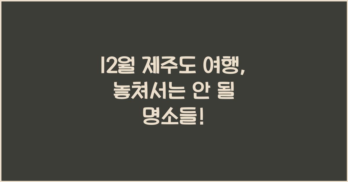 12월 제주도 여행