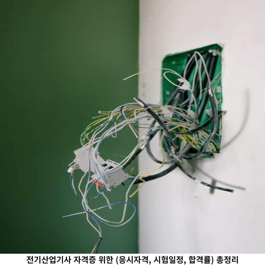 응시자격