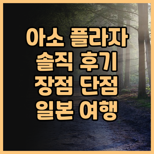 아소 플라자 호텔 실제 후기! 장점과..