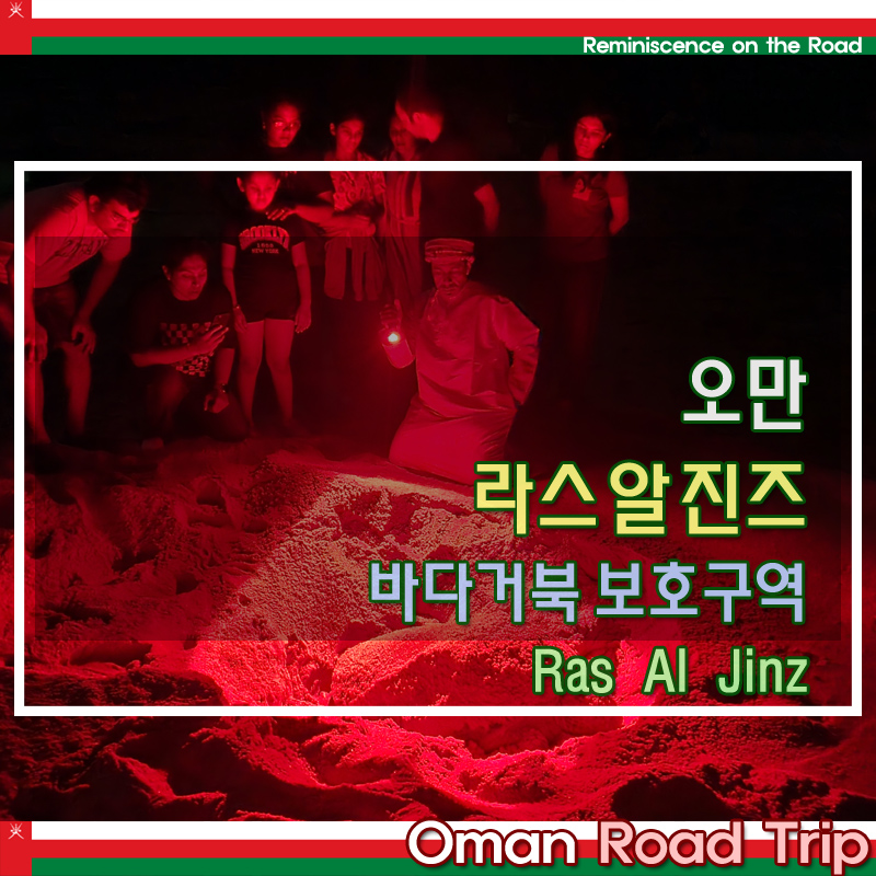 오만-라스알진즈-바다거북이-산란투어-후기