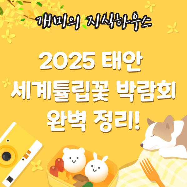 2025태안세계튤립꽃 박람회