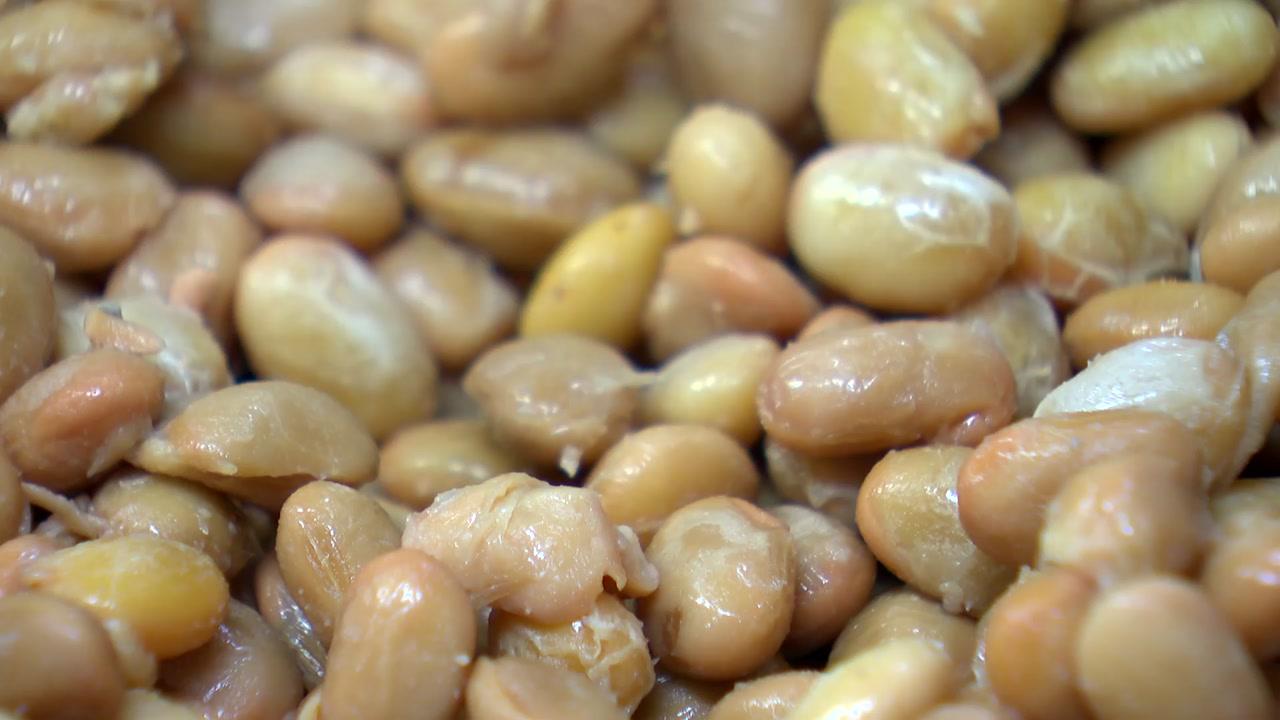 청국장의 효능 및 부작용