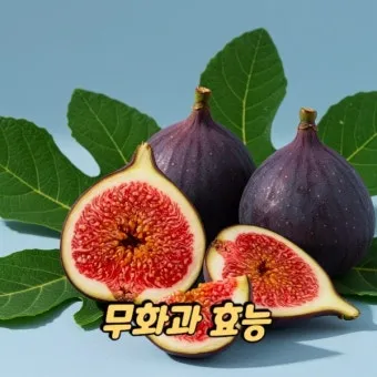 무화과 효능 칼로리 먹는 방법 수확시기 보관법_18