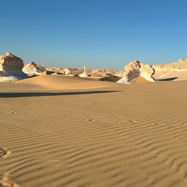 화이트 사막 (White Desert National Park)