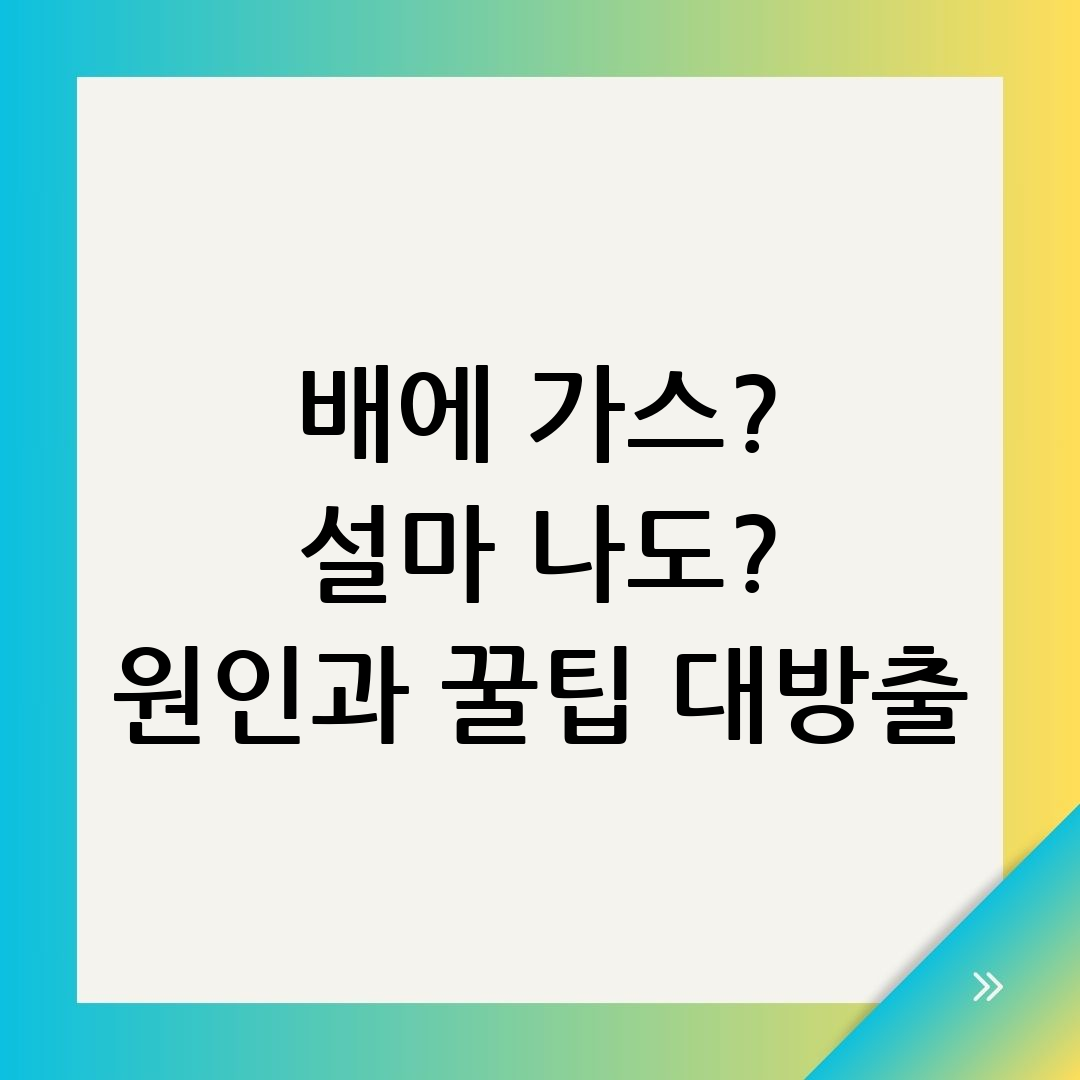 배에 가스차는이유