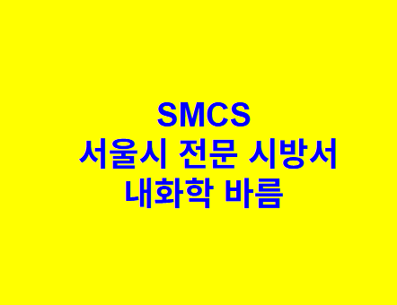 내화학 바름 SMCS 서울시 전문 시방서