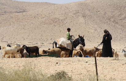 사막에서의 유목민 체험 – 유목민의 삶을 체험하며 사막에서의 생존을 배우는 여행