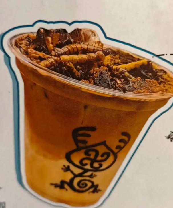 바퀴벌레곤충커피사진