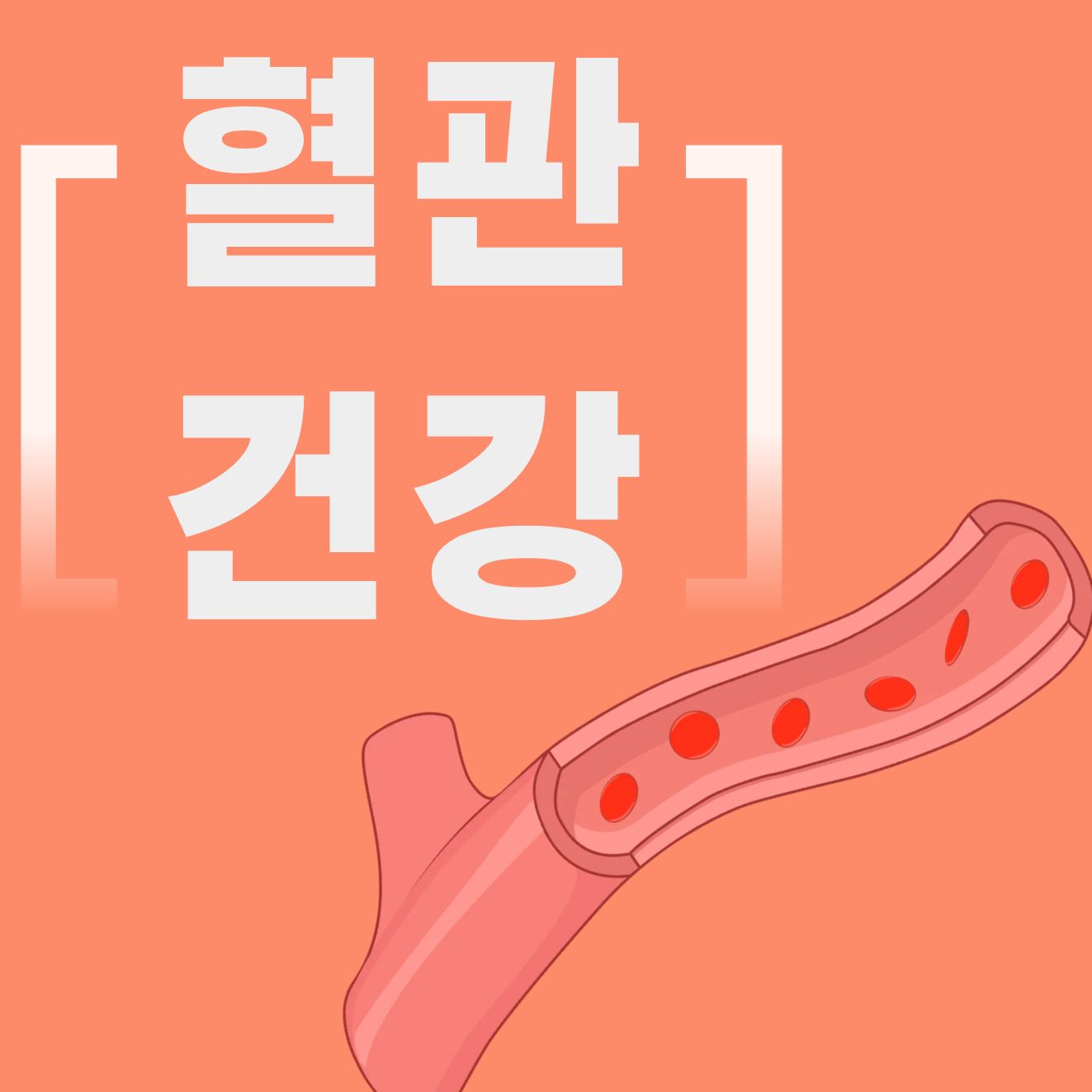 중장년을 위한 혈압 관리 핵심 가이드