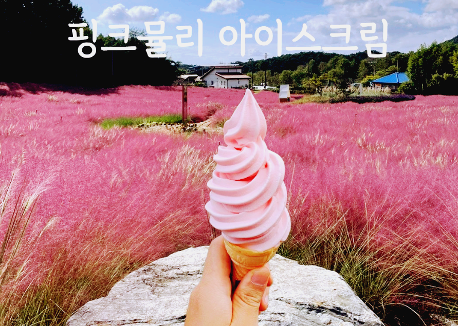 핑크뮬리 아이스크림