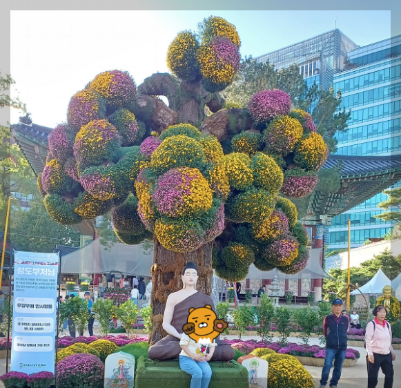 조계사-국화축제