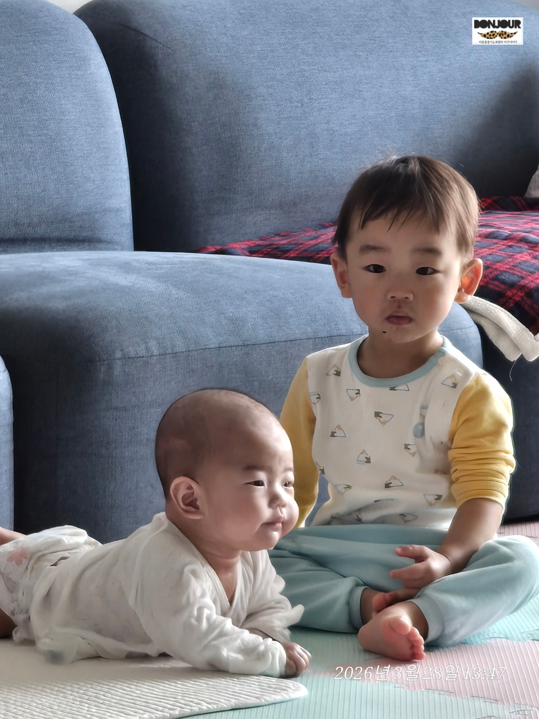 베이비 스키마 특징 큰 눈 둥근 얼굴 아기