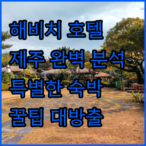 제주 해비치 호텔 & 리조트 완벽 분