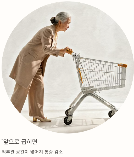 앞으로 굽히면