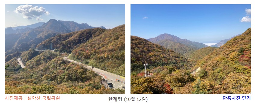 한계령